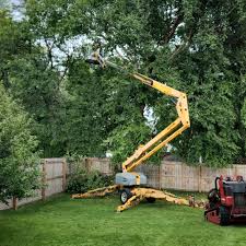 Lawn Grading and Leveling in Rosaryville, MD