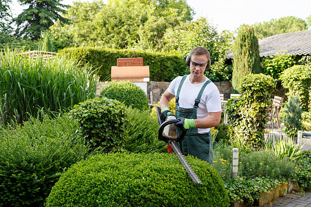 Best Hedge Trimming  in Rosaryville, MD